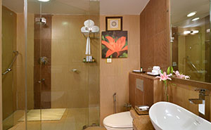 The Pavilion hotel Dharamshala – Bathroom